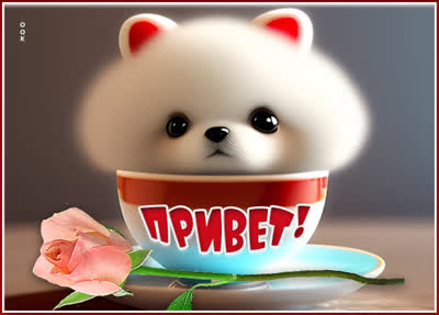 Picture смешная открытка привет