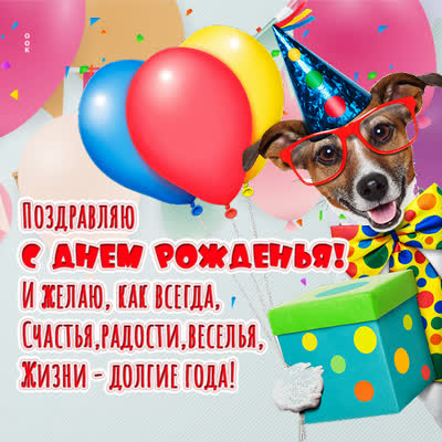 Postcard смешная открытка с днем рождения