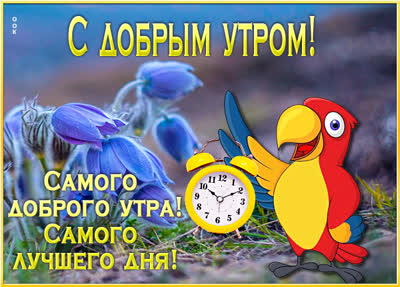 Postcard смешная открытка самого доброго утра