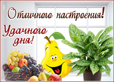 Postcard смешная открытка удачного дня