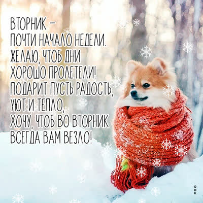 Postcard смешная открытка вторник почти начало недели