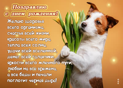 Picture смешная открытка желаю здоровья всего организма