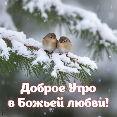 Postcard снежная сказка открытка доброе утро