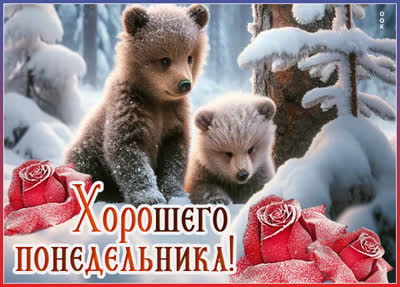 Postcard снежная вдохновляющая открытка хорошего понедельника