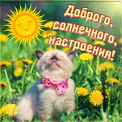 Картинка солнечная картинка хорошего настроения