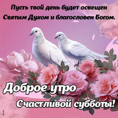 Picture солнечная картинка счастливой субботы