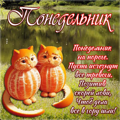 Postcard солнечная открытка понедельник