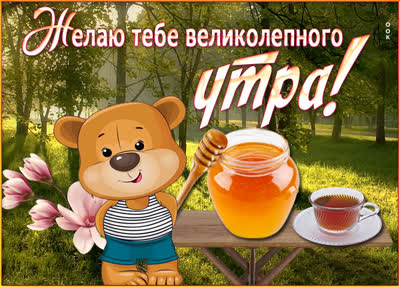 Postcard солнечная открытка великолепного утра