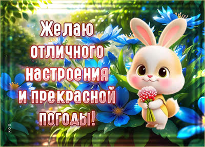 Postcard солнечная открытка желаю отличного настроения