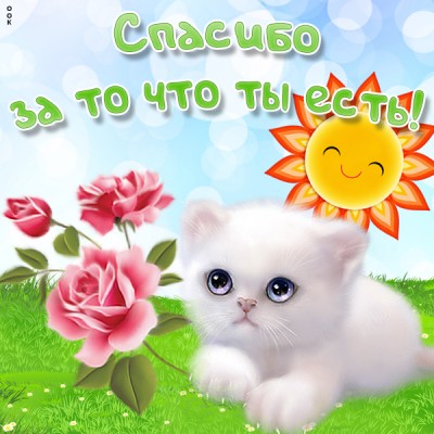 Открытка спасибо тебе за лучик света