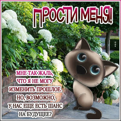 Picture спокойная открытка прости меня