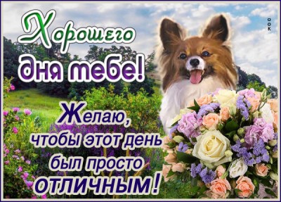 Картинка супер картинка для тебя