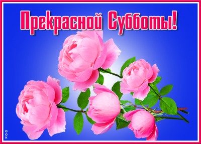 Картинка супер картинка прекрасной субботы