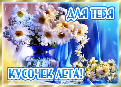 Открытка супер картинка с ромашками