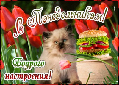 Открытка супер открытка понедельник