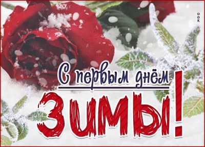 Картинка супер открытка с первый днем зимы с розами