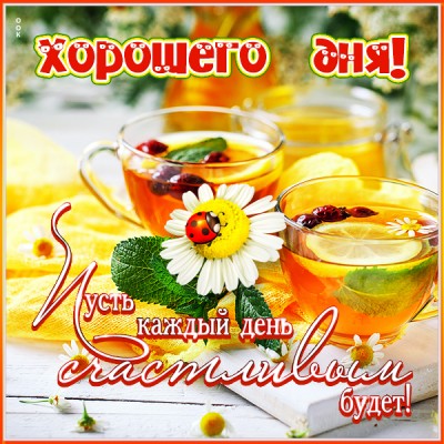 Картинка сверкающая открытка хорошего дня