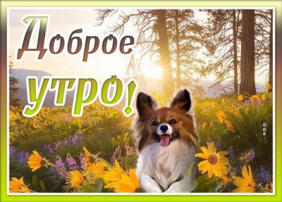 Открытка светлая картинка доброе утро