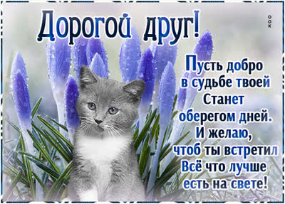 Postcard светлая открытка дорогой друг