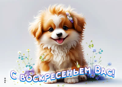 Picture светлая открытка с воскресеньем вас