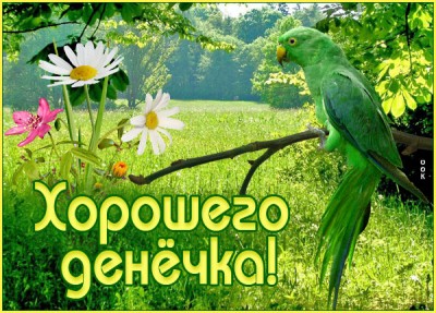 Картинка свежая картинка хорошего дня