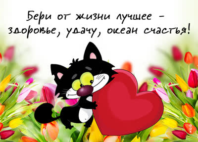 Postcard таинственная открытка бери от жизни лучшее