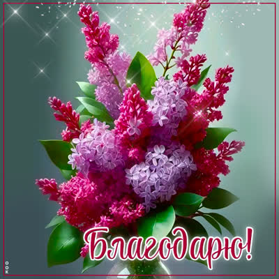 Picture таинственная открытка благодарю