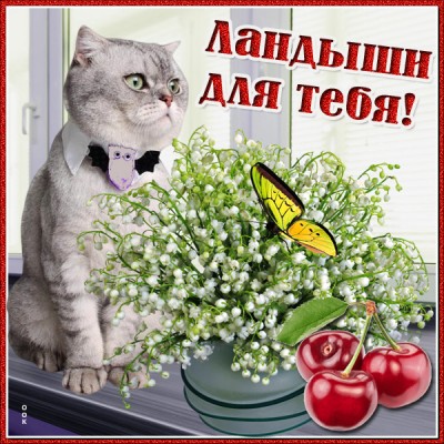 Открытка тебе в подарок капельку добра