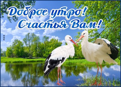 Картинка трогательная картинка доброе утро