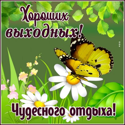 Картинка цветущая открытка хороших выходных