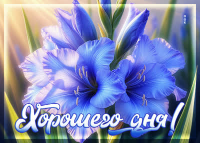 Postcard тёплая, добрая картинка хорошего дня