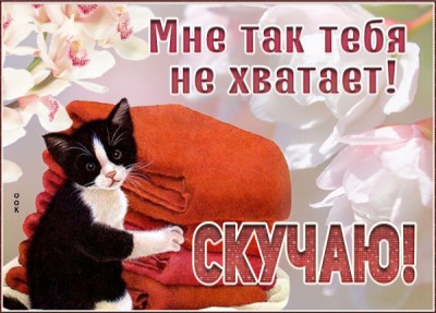 Открытка удачная картинка скучаю
