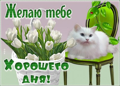 Открытка удачная открытка хорошего дня
