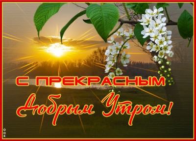 Картинка удивительная  картинка с добрым утром