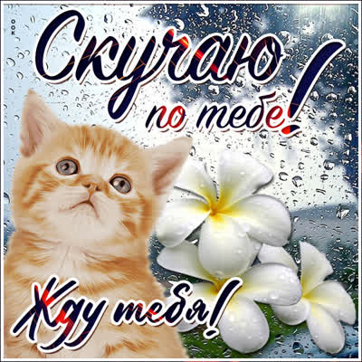 Picture удивительная картинка скучаю