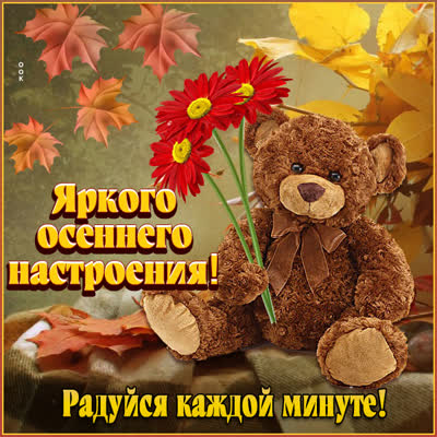 Picture удивительная картинка хорошего осеннего настроения