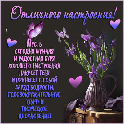 Picture удивительная открытка отличного настроения