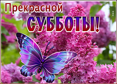 Picture удивительная открытка прекрасной субботы