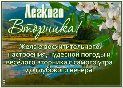 Открытка удивительная открытка вторник