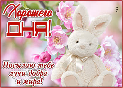 Postcard удивительная открытка хорошего дня