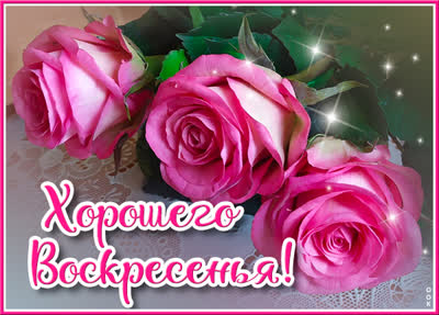 Picture удивительная открытка хорошего воскресенья
