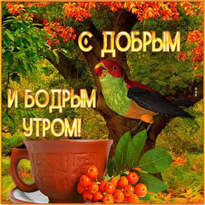 Postcard уютная открытка доброго осеннего утра
