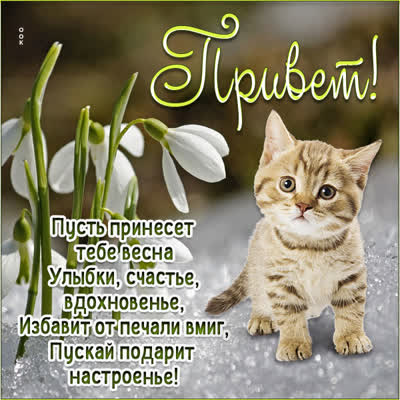 Postcard вдохновенная открытка привет