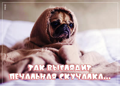 Postcard вдохновляющая открытка так выглядит печальная скучалка