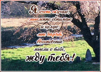 Postcard вдохновляющая открытка я очень скучаю
