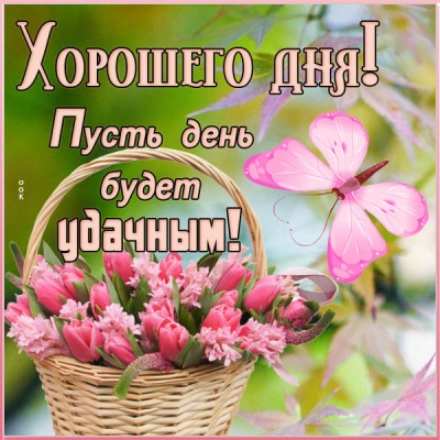 Картинка великолепная картинка хорошего дня