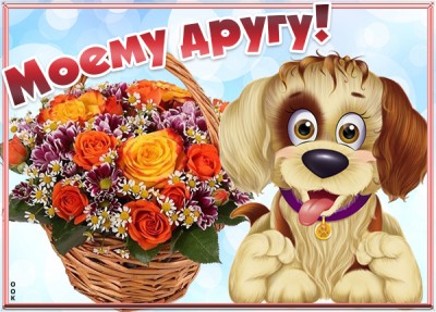Картинка веселая картинка другу