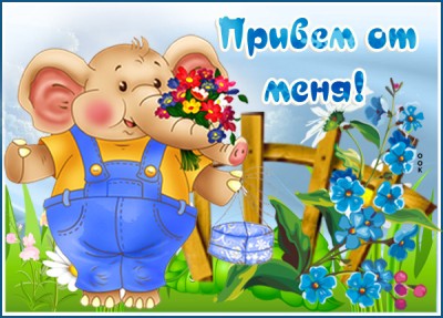 Картинка веселая картинка привет