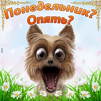Открытка веселая картинка с понедельником