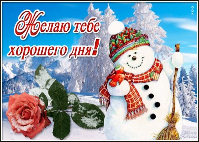 Открытка веселая открытка хорошего зимнего дня